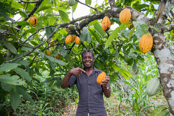 A satisfied farmer at his cocoa plantation