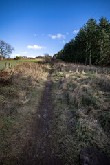 Path going up a hill surrounded by long grass with a field on the left and a forest on the right. Bright sunny summers day with a blue sky.