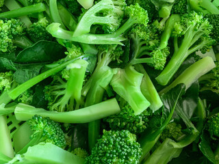 Close up preparing blanched broccoli