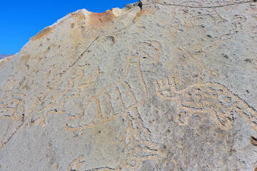 Site archéologique de Toro Muerto, Arequipa, Pérou