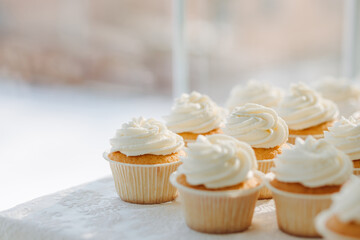 Delicious vanilla cupcakes with cream cheese frosting, white background, selective focus.