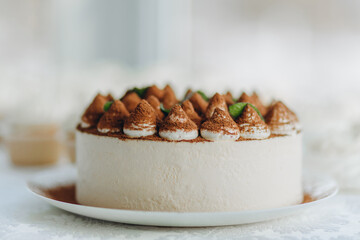 Delicious Tiramisu cake with coffee beans and fresh mint on a plate on a light background.
