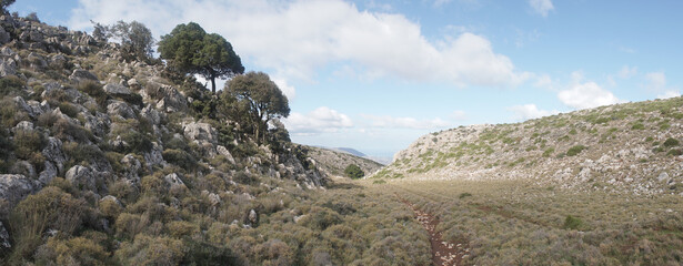 Green mountain landscapes on the way to Lasithi Plateau near Malia on Crete Island, Greece.