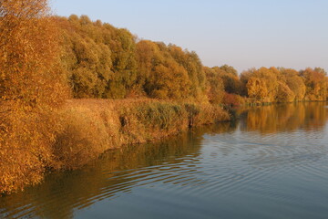 autumn trees on the river