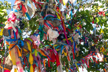 Tree with colored ribbons of wishes near Church of the Prophet Elijah in Protaras, Republic of...