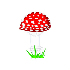 Vector drawing of a forest mushroom on a white isolated background in a flat style, cartoon. Autumn bright beautiful mushroom, cards, stickers, T-shirts.