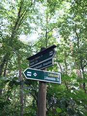 Sächsische Schweiz Wanderung im Wald