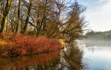 Obraz premium Romantischen Morgenstimmung am Teich