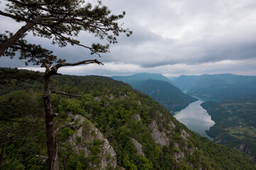 Fototapeta na wymiar The lookout on Tara mountains in Serbia