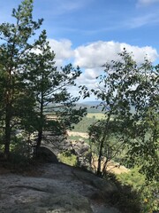 Sächsische Schweiz Wanderung im Wald