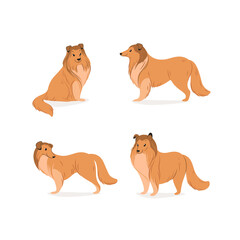 Сollie dog illustration set. Cute dog character. Vector illustration in cartoon style for poster, postcard.