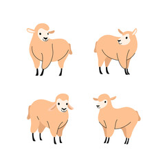 Cartoon sheep flat icon. Сute animals set of icons.