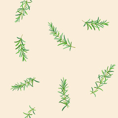 Trendy pattern with branch of rosemary. Vector illustration.