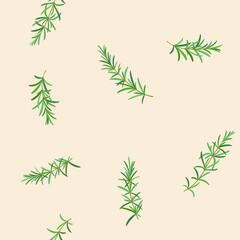 Obraz premium Trendy pattern with branch of rosemary. Vector illustration.