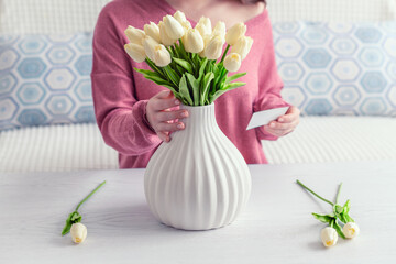 Woman putting white tulips flowers in vase sitting at the living room coffee table. Composing bouquet. Lifestyle