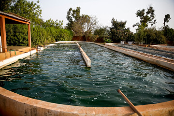 Spirulina farm in Ouahigouya, Burkina Faso. 19.02.2018 - obrazy, fototapety, plakaty