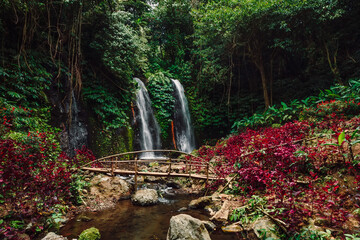 Cascade waterfall in tropical jungle with red plans