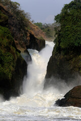Murchison falls, Uganda. 26.02.2017