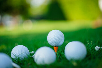 golf ball on green grass