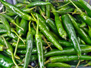 Stacks of Green Chilies are on display for sale