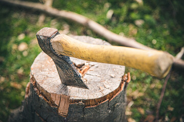 An ax sticking out in a tree stump.