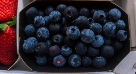 Delicious and healthy box of blueberries