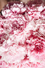 pink peonies in pastel colors close-up, flower pattern, vintage photo processing