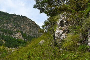 Fototapeta na wymiar Unusual beautiful stones. Mountains of the North Caucasus. Hot summer day. Republic of North Ossetia - Alania
