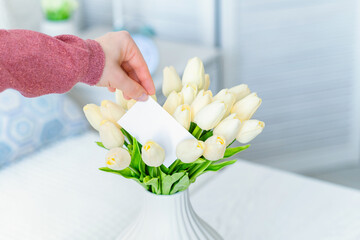 Woman pulling blank greeting card from bouquet of white tulips flowers. Mother day, Copy space. Mock up