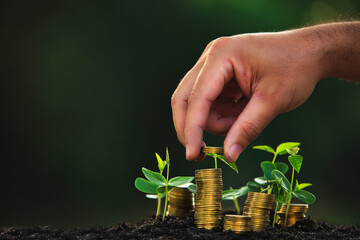 Investment ideas for profit In order to get returns that are worthwhile Success in business
The seedlings on the gold coin chart