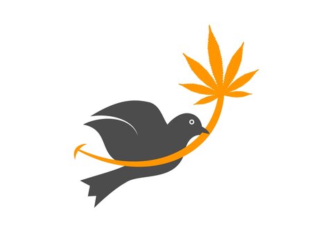 Sparrow Cannabis