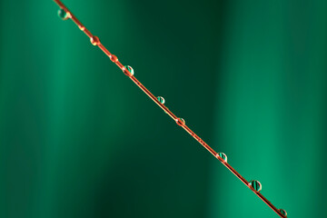 Closeup of a copper wire full of water droplets, on a green background