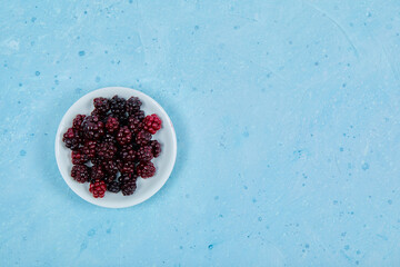 A bowl of blackberries on the blue background