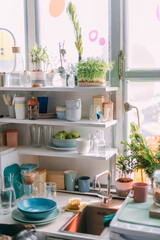 Details of a modern eco kitchen with lots of greenery