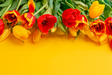 Bouquet of red yellow tulips flowers over bright yellow background. Greeting card for Happy easter party, Spring holiday, mother day, woman day or wedding invitation. Top view, copy space, banner