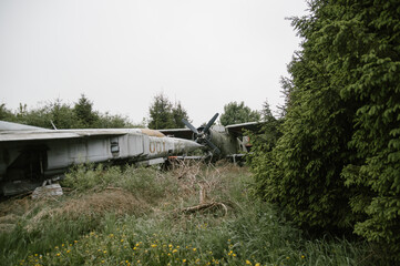 Dwa stare wraki samolotów stojące na polanie - obrazy, fototapety, plakaty