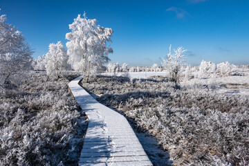 Hohes Venn im Winter