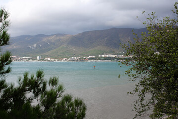 View of the sea and mountains through the trees