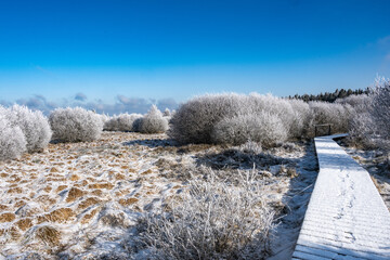 Hohes Venn im Winter