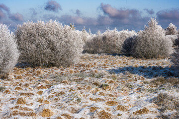 Winter im Hohen Venn