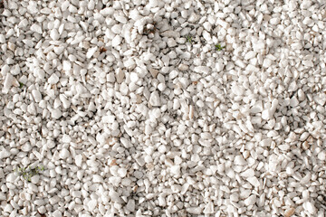 Background of white small stones