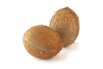 Two coconuts isolated on white
