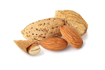 Almond isolated on the white