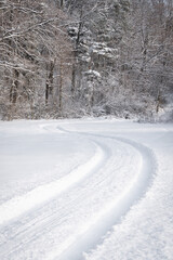 white snow covered road with forest in background