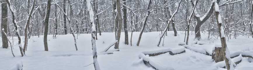 beautiful winter countryside landscape