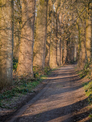 German natural countryside