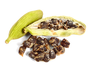 Cardamom Seeds with Seed Pods (Cardamon, Cardamum). Isolated on White.