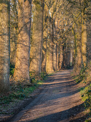 Obraz premium German natural countryside