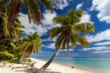 Obraz na płótnie Canvas Aitutaki Lagoon - Cook Islands - South Pacific