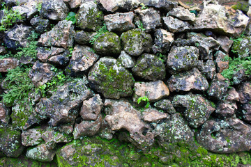 moss on stone
